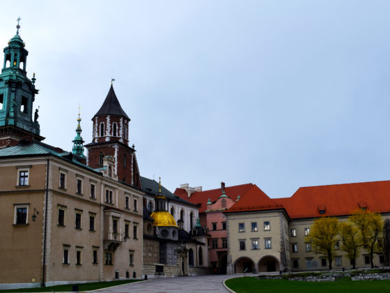 Castillo y catedral de Wawel Cracovia