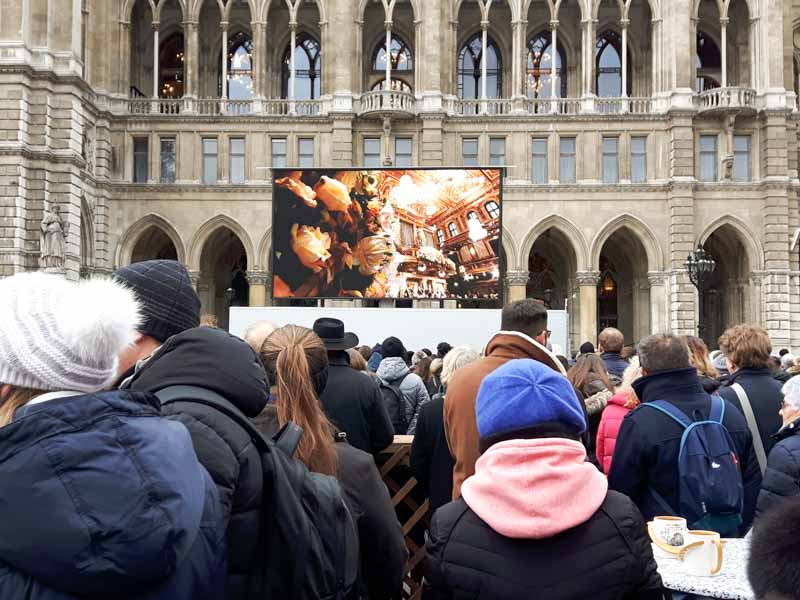 Concierto Año Nuevo Viena en ayuntamiento