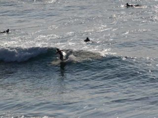 Secuencia surf Los Locos en Suances