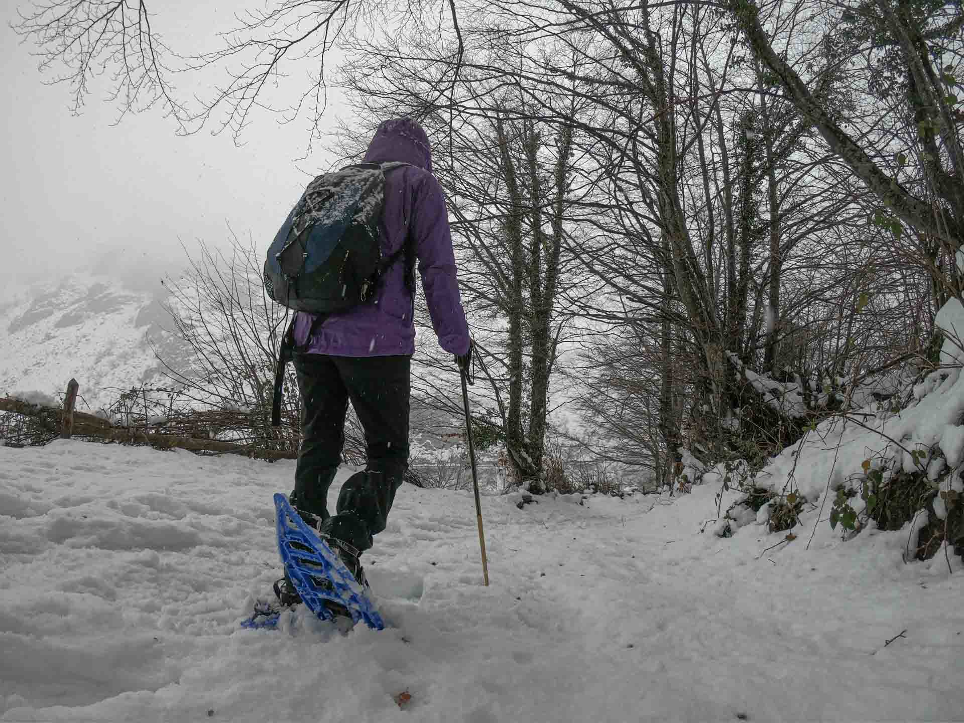 franja Luna Sustancialmente Ruta con raquetas de nieve en Asturias. Excursión al Bosque del Gumial en  Aller – Animales Viajeros