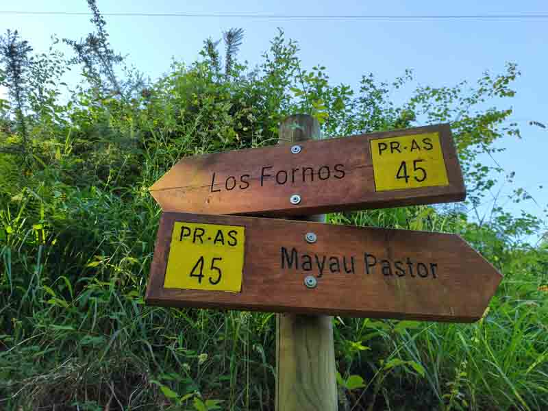 Mayau Pastor les Praeres