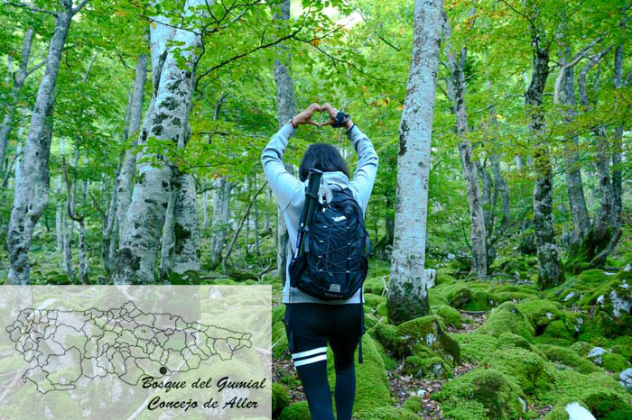 El Bosque del Gumial en Otoño en Asturias