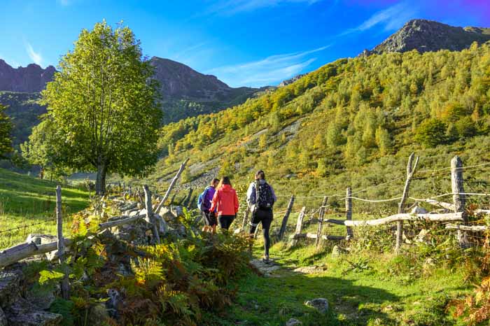 Entre la braña y el bosque del Gumial en Aller, Asturias