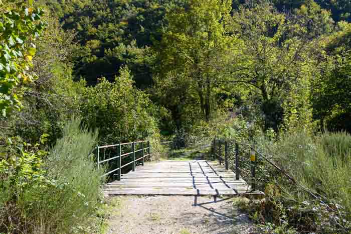 Puente sobre el rio San Isidro en el Bosque el Gumial, Asturias