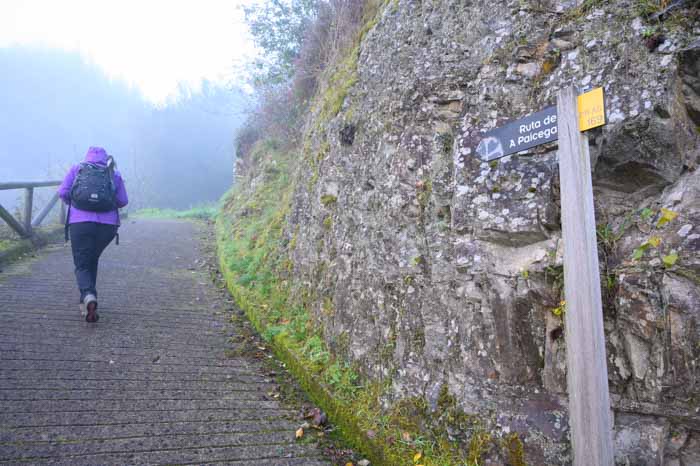 Inicio de la ruta A Paicega en Pesoz, Asturias