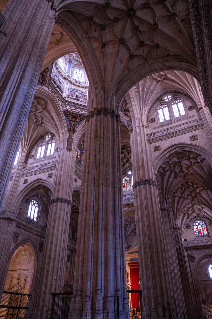 Columnas de la Catedral Nueva en Salamanca