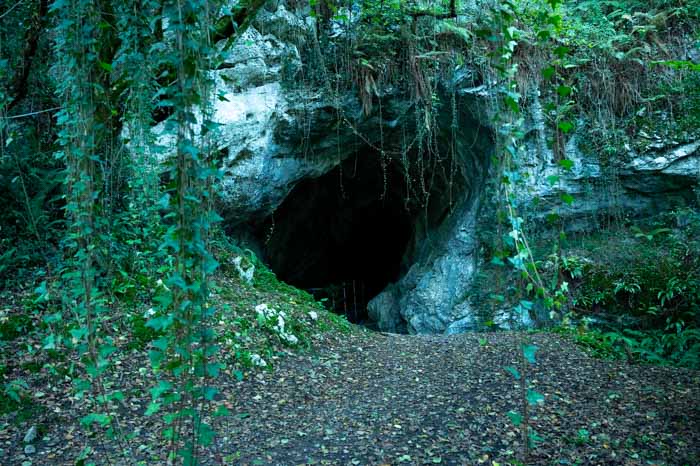 Cueva de San Pedrín en Asturias
